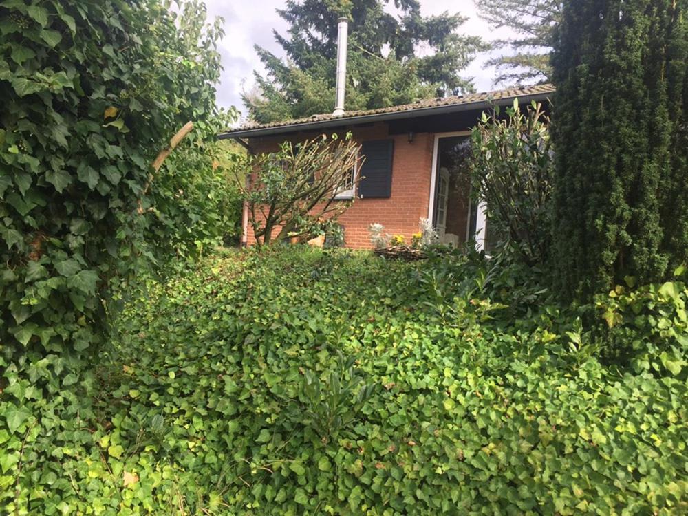 Ferienhaus Braunfels Vila Exterior foto